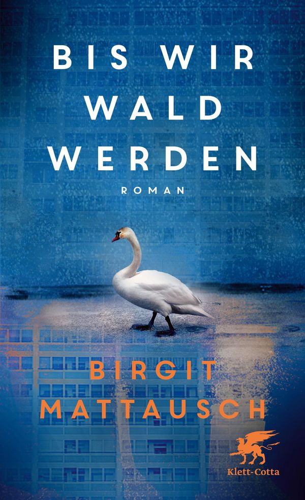 Bis wir Wald werden - Birgit Mattausch (Buch)