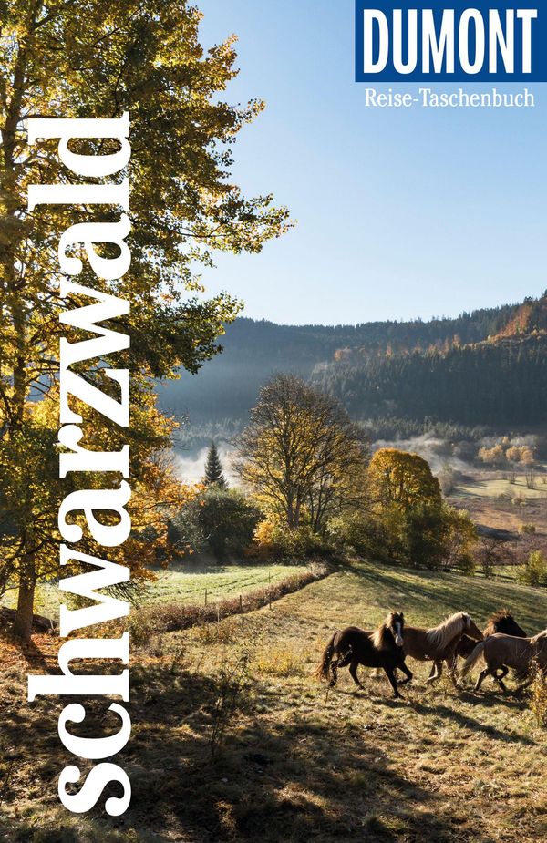 DuMont Reise-Taschenbuch Schwarzwald - Muriel Brunswig (Buch)