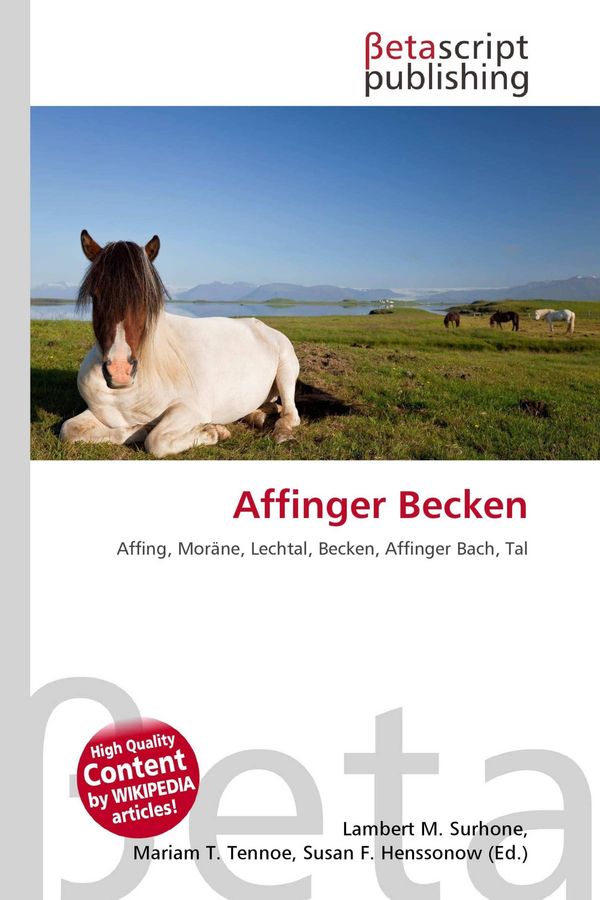 Affinger Becken (Buch)