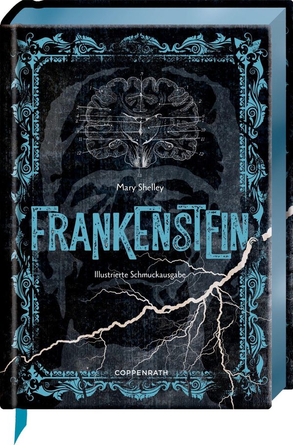 Frankenstein - Mary Shelley (Buch)