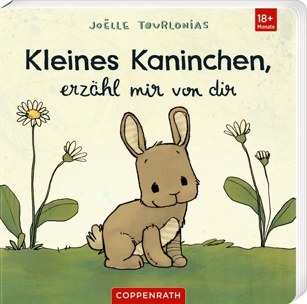 Kleines Kaninchen, erzähl mir von dir - Joëlle Tourlonias (Buch)