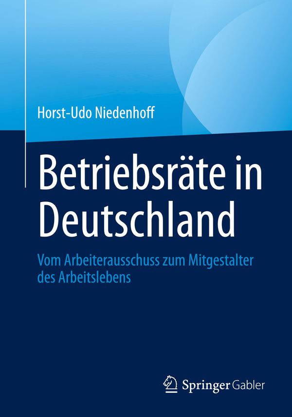 Betriebsräte in Deutschland - Horst-Udo Niedenhoff (Buch)