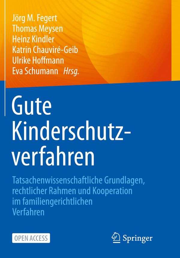 Gute Kinderschutzverfahren (Buch)