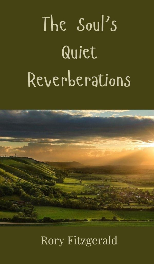 The Souls Quiet Reverberations - Rory Fitzgerald (Buch)