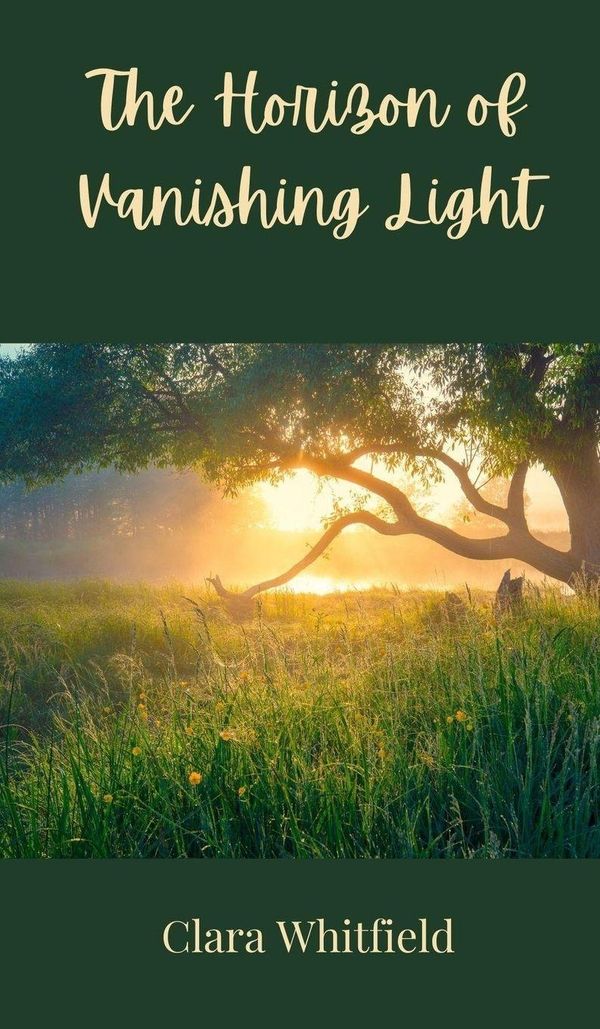 The Horizon of Vanishing Light - Clara Whitfield (Buch)