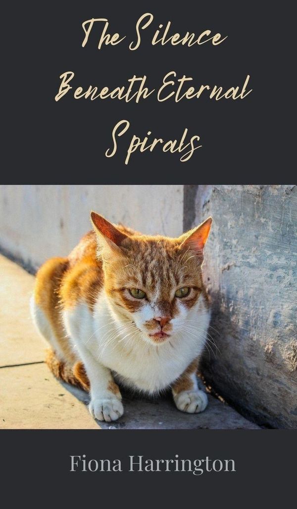 The Silence Beneath Eternal Spirals - Fiona Harrington (Buch)