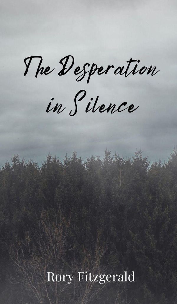 The Desperation in Silence - Rory Fitzgerald (Buch)