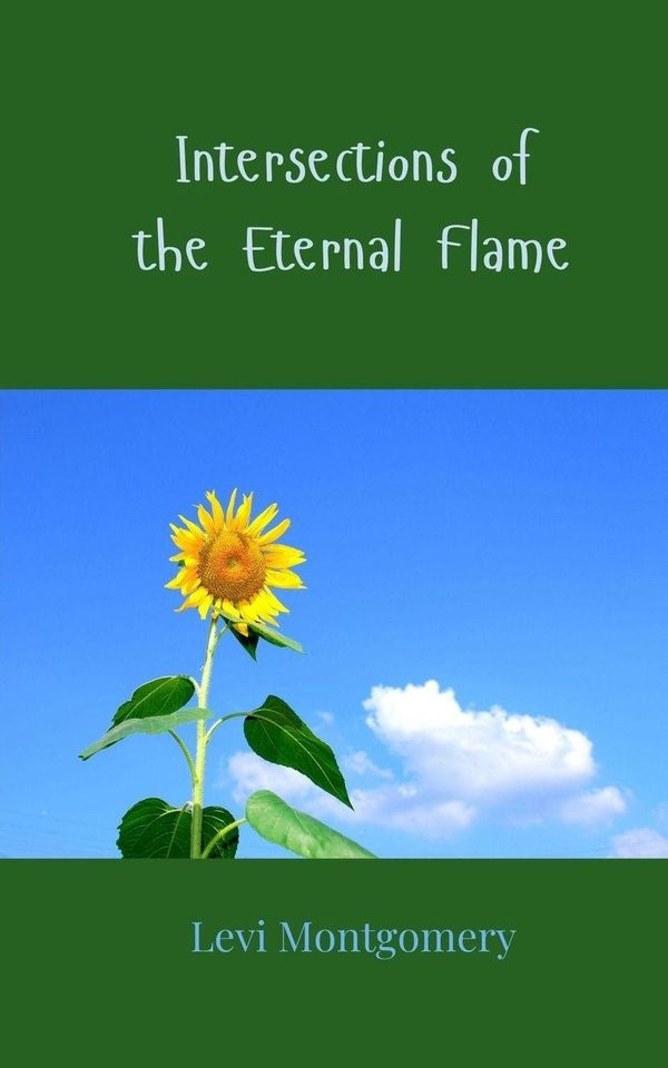 Intersections of the Eternal Flame - Levi Montgomery (Buch)