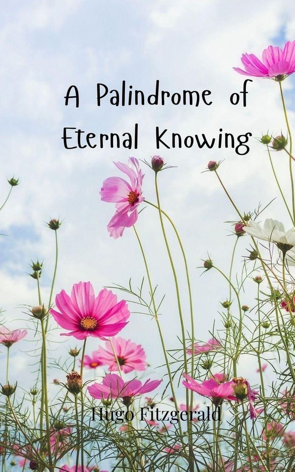 A Palindrome of Eternal Knowing - Hugo Fitzgerald (Buch)