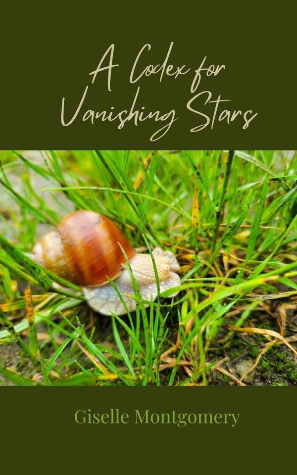 A Codex for Vanishing Stars - Giselle Montgomery (Buch)