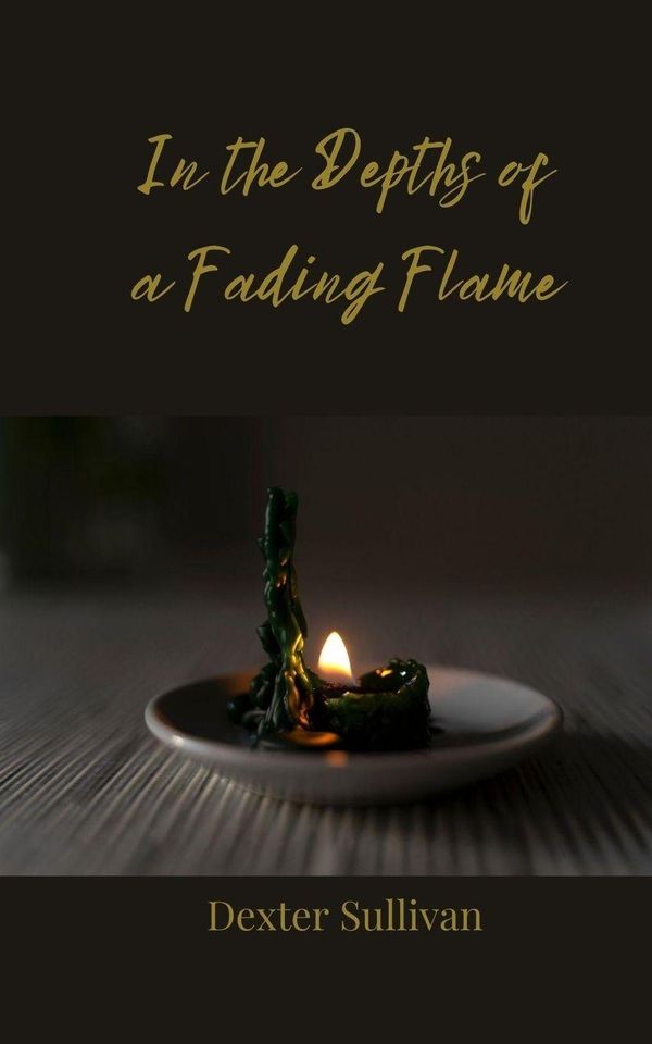 In the Depths of a Fading Flame - Dexter Sullivan (Buch)