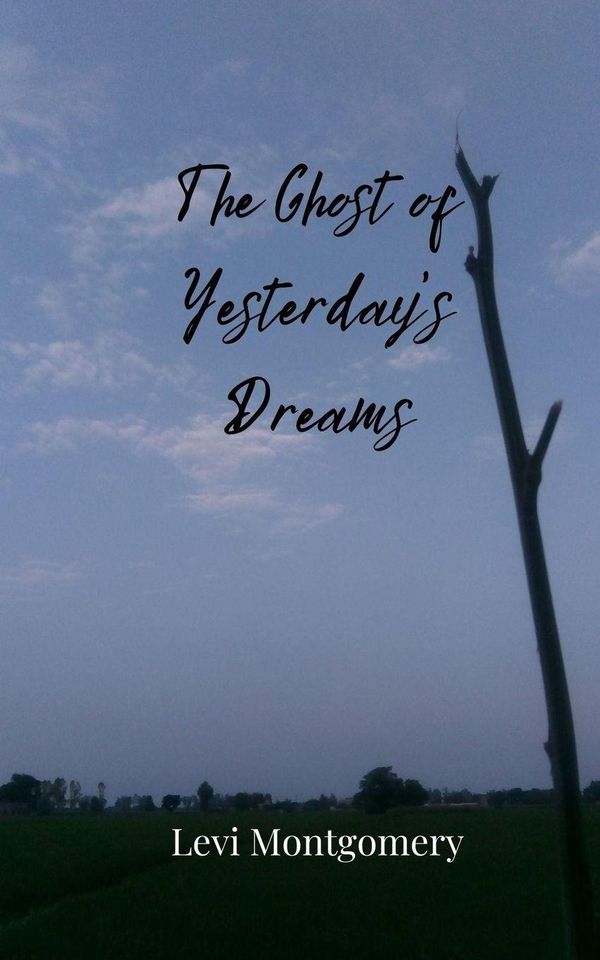 The Ghost of Yesterdays Dreams - Levi Montgomery (Buch)