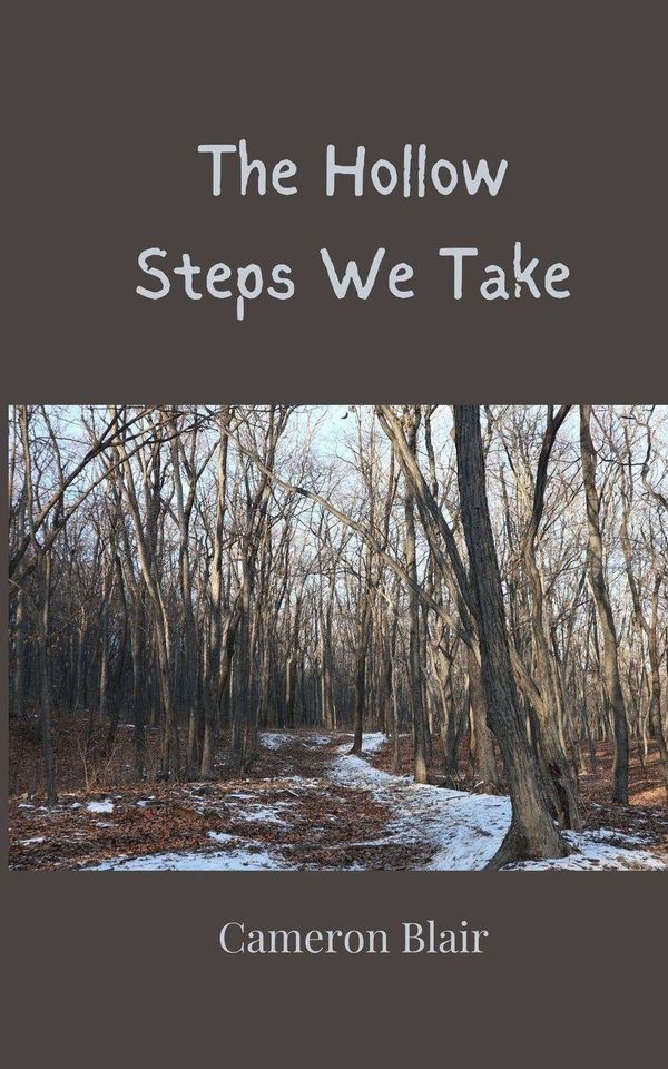 The Hollow Steps We Take - Cameron Blair (Buch)