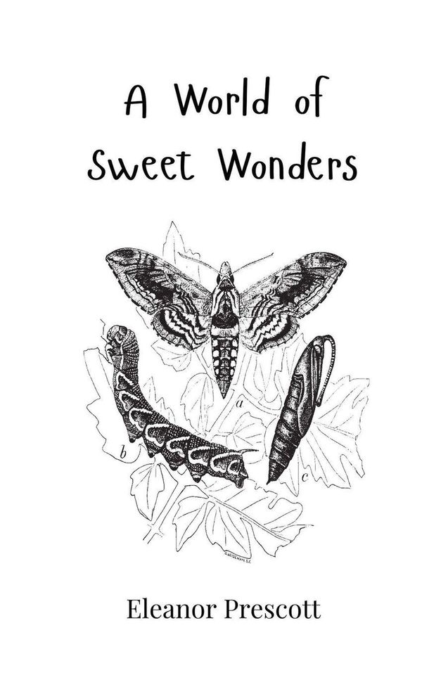 A World of Sweet Wonders - Eleanor Prescott (Buch)