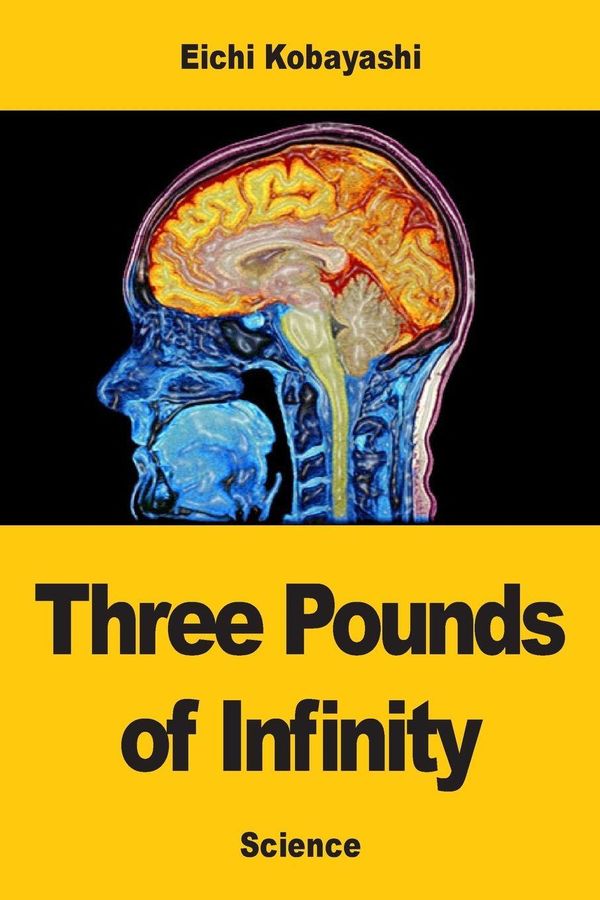 Three Pounds of Infinity - Eichi Kobayashi (Buch)