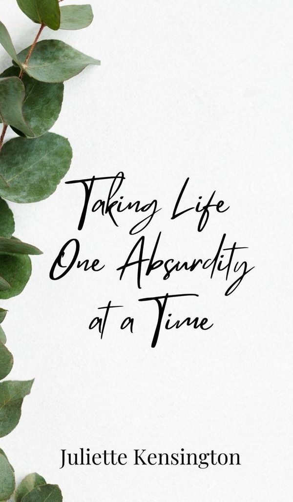 Taking Life One Absurdity at a Time - Juliette Kensington (Buch)