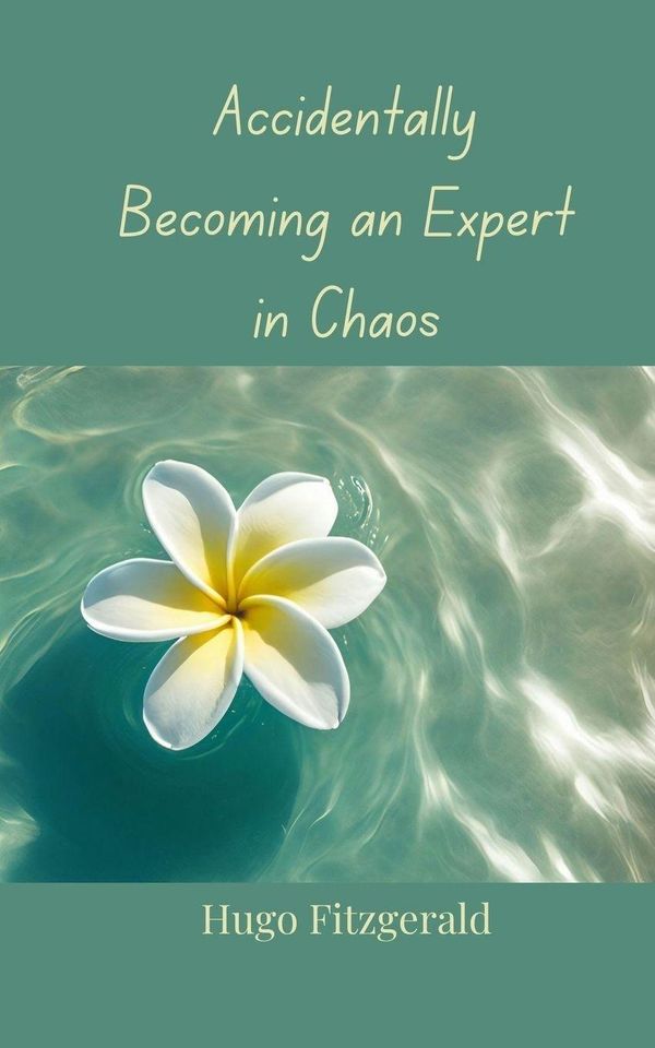 Accidentally Becoming an Expert in Chaos - Hugo Fitzgerald (Buch)