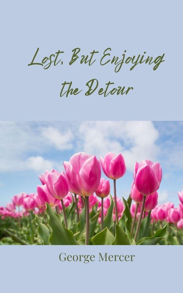 Lost, But Enjoying the Detour - George Mercer (Buch)