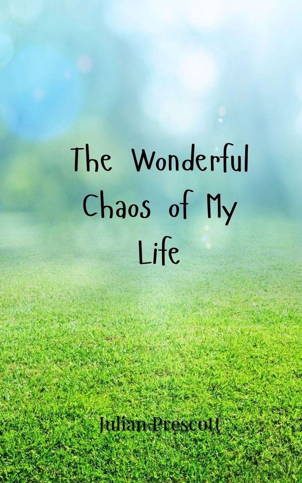 The Wonderful Chaos of My Life - Julian Prescott (Buch)