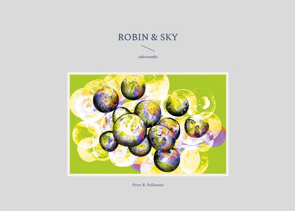Robin & Sky - Peter R. Pollmann (Buch)