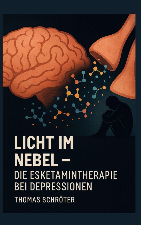Licht im Nebel - Thomas Schröter (Buch)