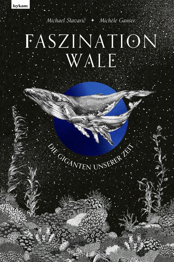 Faszination Wale - Die Giganten unserer Zeit - Michael Stavaric (Buch)