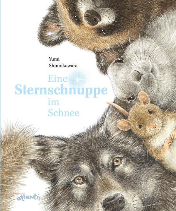 Eine Sternschnuppe im Schnee - Yumi Shimokawara (Buch)