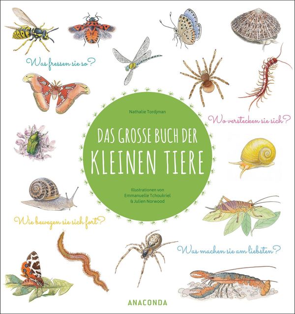 Das große Buch der kleinen Tiere - Nathalie Tordjman (Buch)