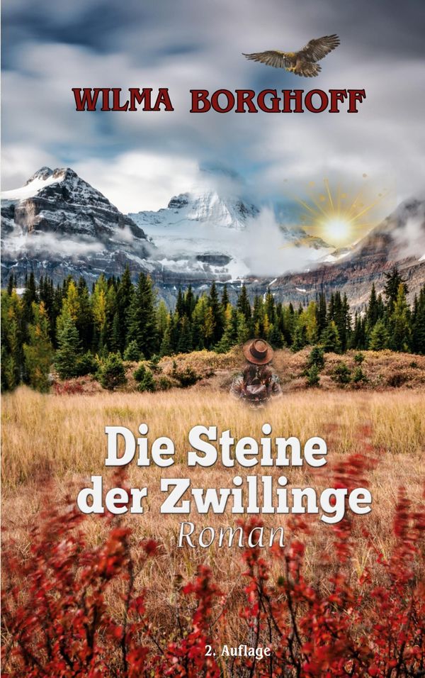 Die Steine der Zwillinge - Wilma Borghoff (Buch)