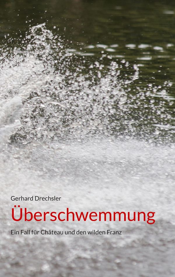 Überschwemmung - Gerhard Drechsler (Buch)