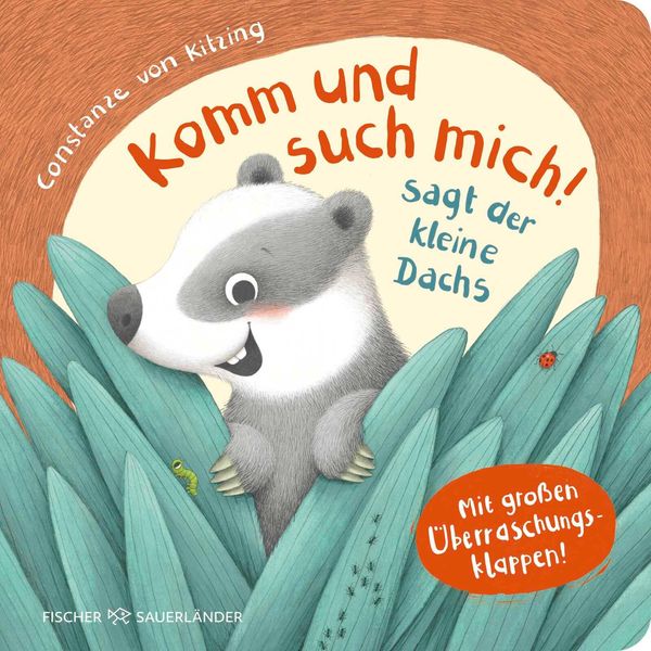 Komm und such mich! sagt der kleine Dachs (Buch)