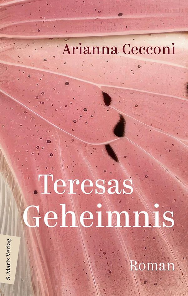Teresas Geheimnis - Arianna Cecconi (Buch)