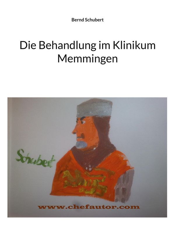 Die Behandlung im Klinikum Memmingen - Bernd Schubert (Buch)