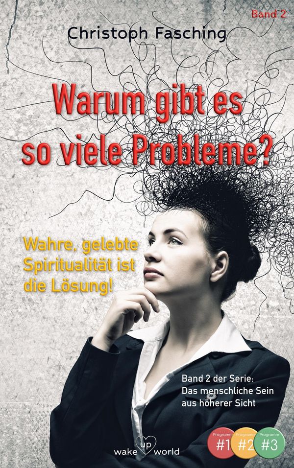 Warum gibt es so viele Probleme? - Christoph Fasching (Buch)