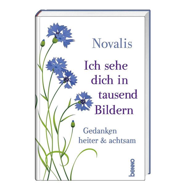 Ich sehe dich in tausend Bildern - Novalis (Buch)