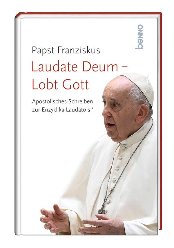 Laudate Deum - Lobt Gott - Papst Franziskus (Buch)