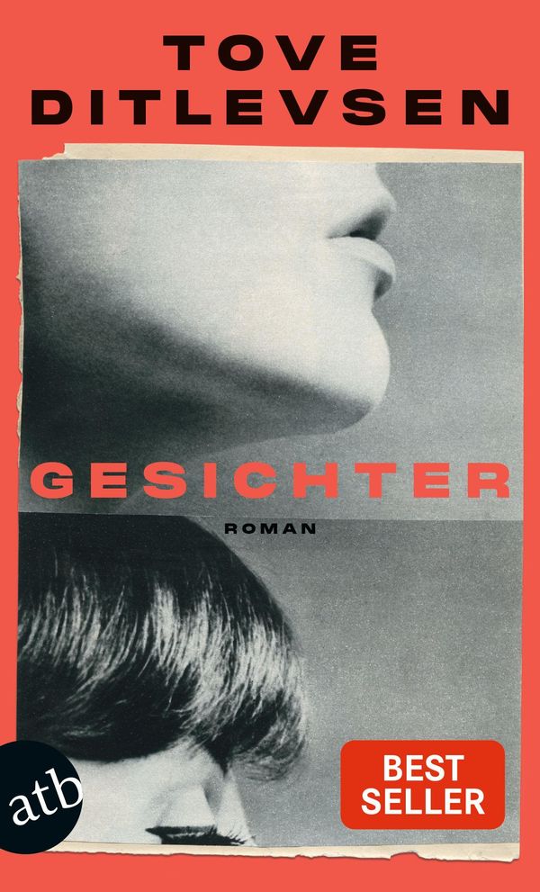 Gesichter - Tove Ditlevsen (Buch)