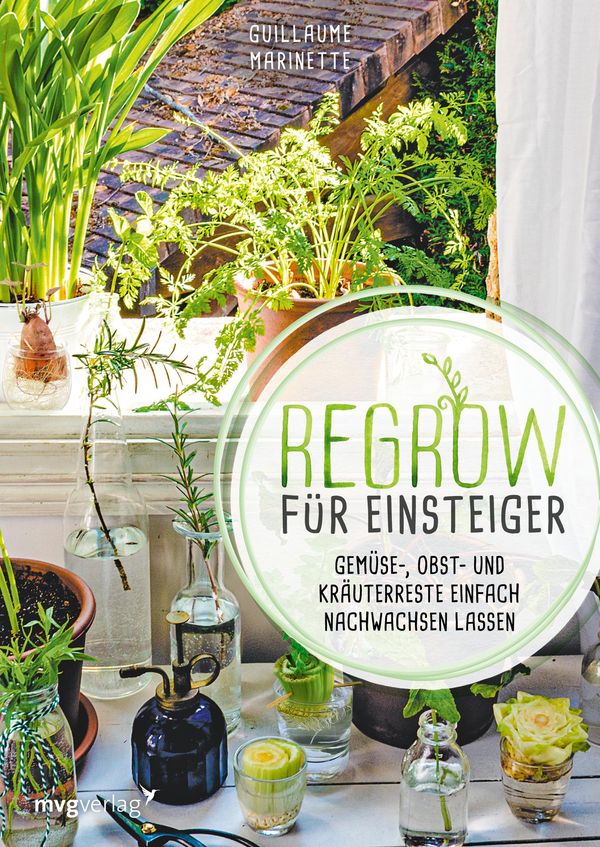 Regrow für Einsteiger - Guillaume Marinette (Buch)