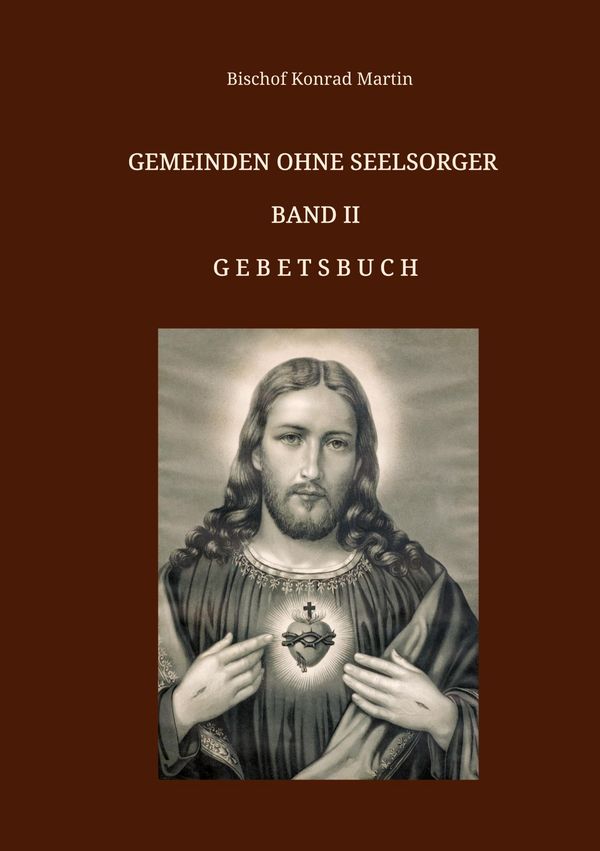 Gemeinden ohne Seelsorger, Band II - Bischof Konrad Martin (Buch)