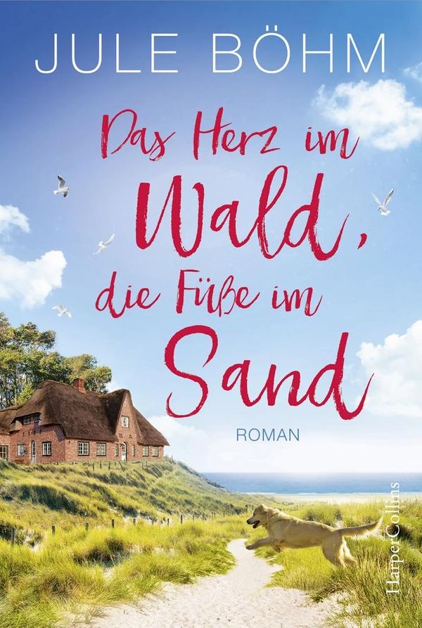 Das Herz im Wald, die Füße im Sand - Jule Böhm (Buch)