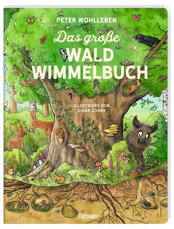 Das große Wald-Wimmelbuch - Peter Wohlleben (Buch)