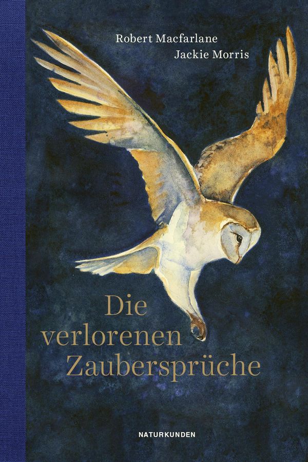 Die verlorenen Zaubersprüche - Robert Macfarlane (Buch)
