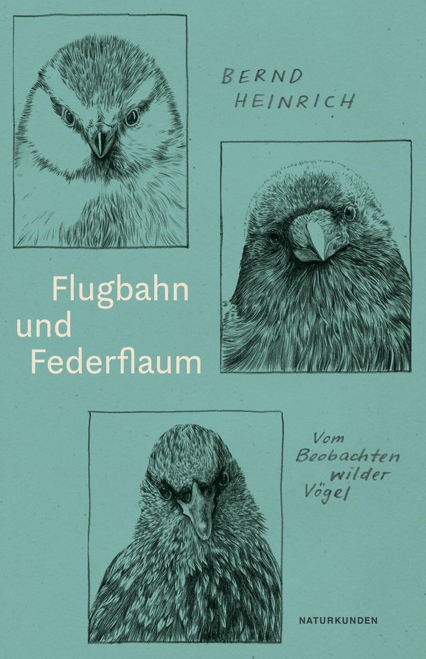 Flugbahn und Federflaum - Bernd Heinrich (Buch)