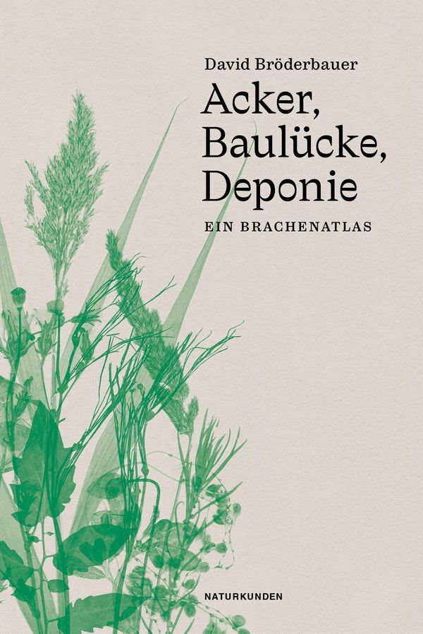 Acker, Baulücke, Deponie - David Bröderbauer (Buch)