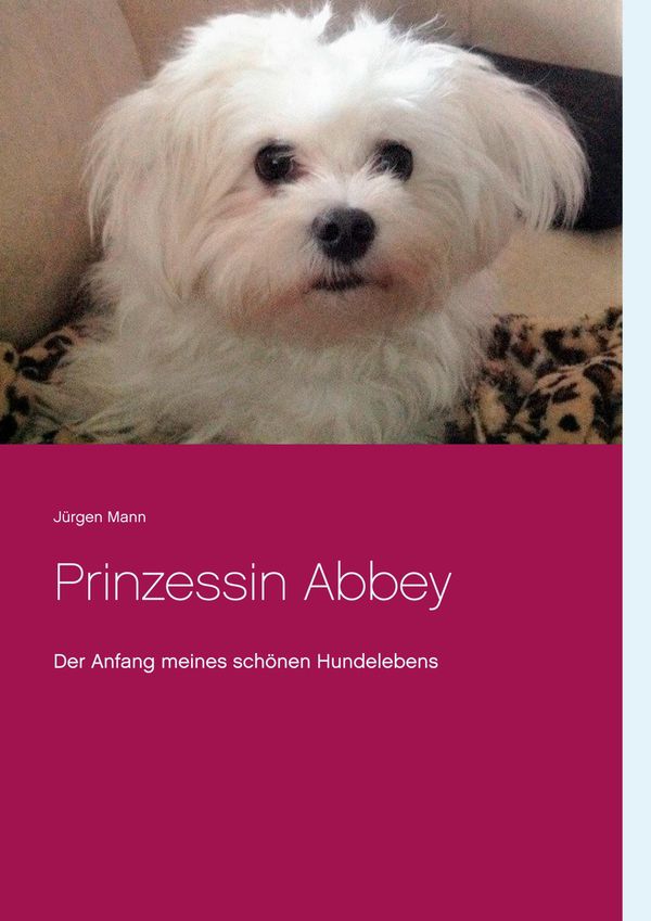 Prinzessin Abbey - Jürgen Mann (Buch)