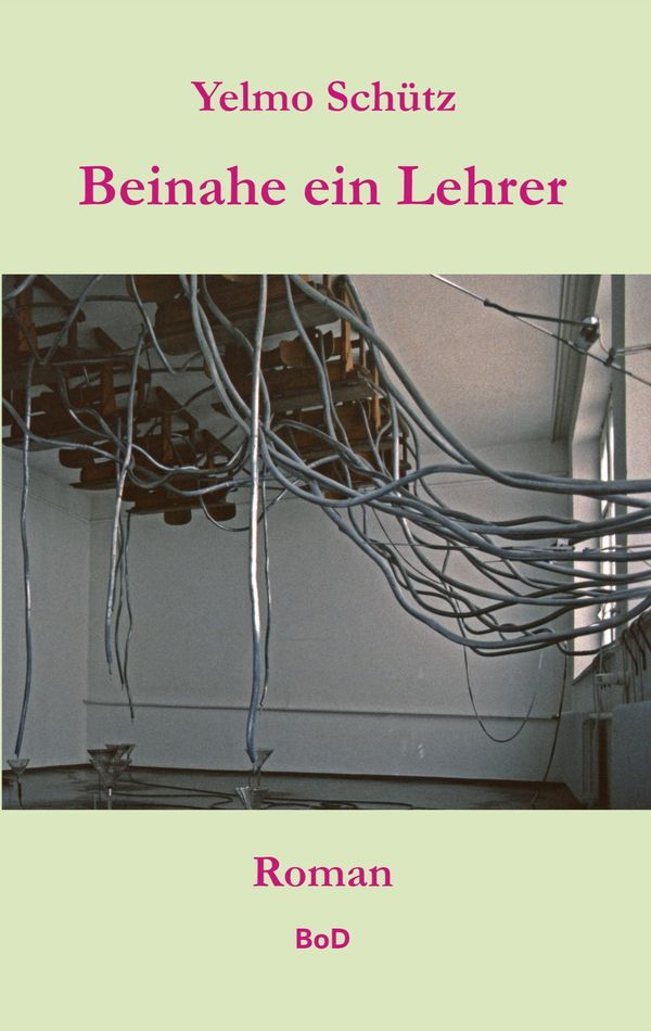 Beinahe ein Lehrer - Yelmo Schütz (Buch)