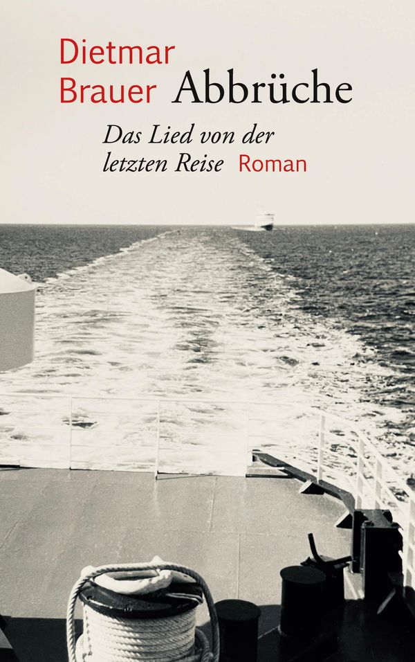 Abbrüche - Dietmar Brauer (Buch)