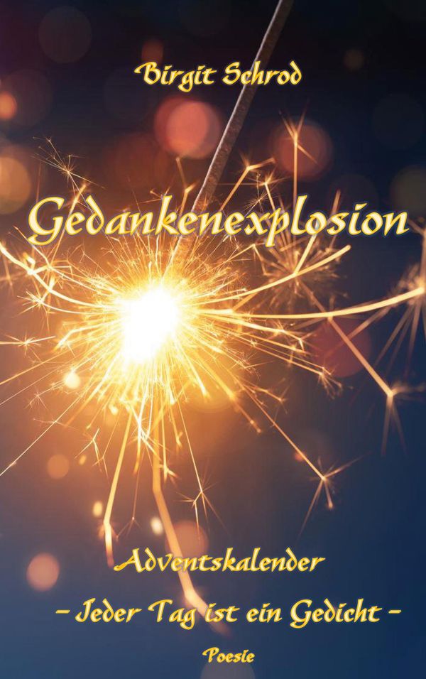 Gedankenexplosion - Birgit Schrod (Buch)
