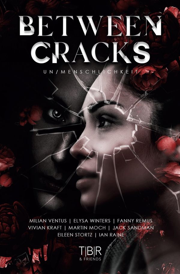 Between Cracks - Fanny Remus (Buch)