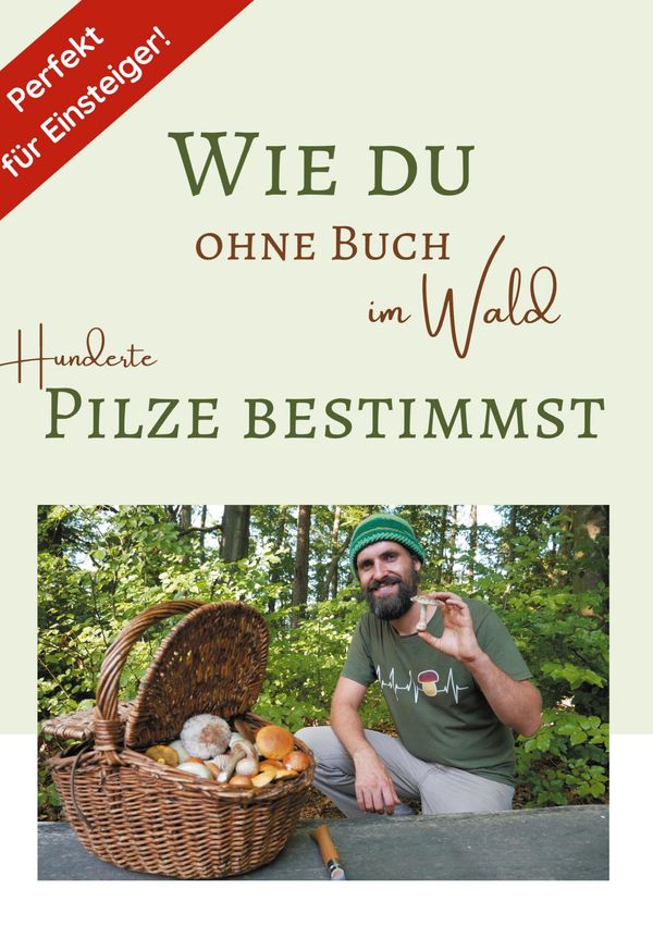 Wie du ohne Buch im Wald Hunderte Pilze bestimmst (Buch)